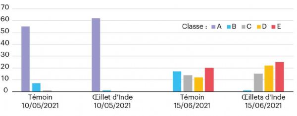 Figure 2 : Observation de l'intensité d'attaque