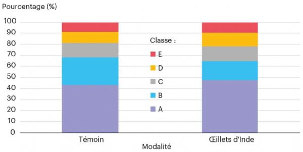 Figure 3 : La répartition de l'ensemble des observations de classes est similaire entre les deux modalités