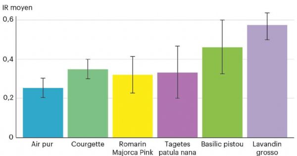 Figure 4 : Indice de répulsion de plantes de services et de la courgette basé sur la réponse d'Aphys gossypii dans un olfactomètre dynamique tubulaire décrit par Dieudonné et al. (2022)
