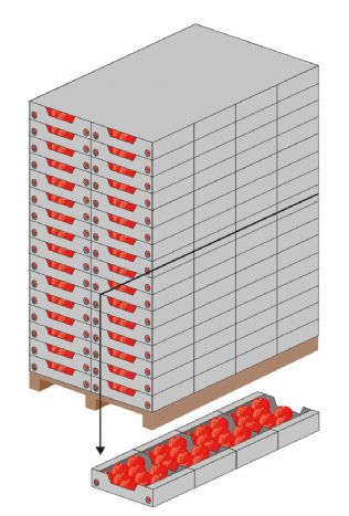 Figure 1 : Schéma d'une palette entière