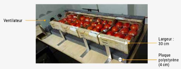 Figure 2 : Dispositif expérimental ouvert composé de quatre colis de tomates Cauralina