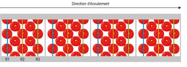 Figure 5 : Position des mesures de vitesse d'air R1, R2 et R3 au-dessus de tomates par LDV (Laser Doppler Velocimetry) - Vue du dessus