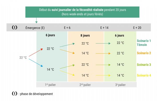 Figure 1 : Dispositif expérimental de l'essai « température » ; à 70 % d'humidité relative