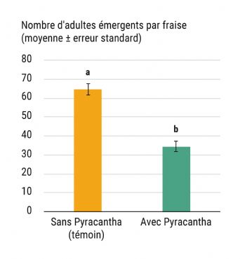 Figure 11 : Nombre d'adultes de Drosophila suzukii émergents des fraises dans les deux modalités (fraise sans plante-piège en orange ; ou fraise avec plante-piège en vert). Essai en mini-serre sur plants de fraisiers en pots et branches de Pyracantha.