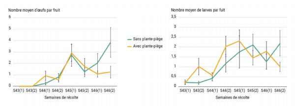 Figure 13 : Taux d'infestation moyen des fraises par les larves (en haut) et les oeufs (en bas) de Drosophila suzukii pour les modalités témoin