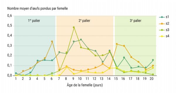Figure 2 : Évolution de la fécondité moyenne par femelle sur 20 jours - Séries 1 à 4 - essai température