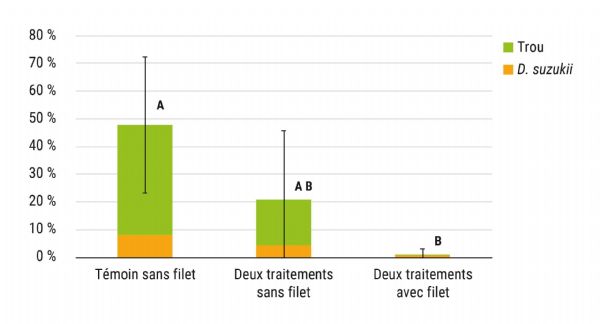 Figure 5 : Dégâts observés sur le second passage de Noire de Meched, le 15 juin 2021