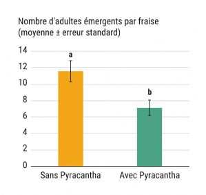 Figure 9 : Nombre d'adultes de Drosophila suzukii émergents par fraise sans plante-piège Pyracantha absence (orange) ou avec plante-piège Pyracantha (vert). Essai en laboratoire sur fruits détachés