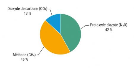 Figure 1 : Répartition des émissions de l'agriculture