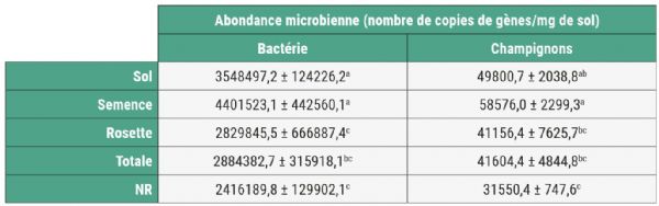 Figure 3 : La biotisation post désinfection modifie les abondances en champignons et bactéries rhizosphériques