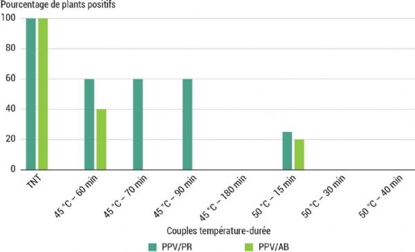 Figure 5 - Expérimentation PPV - Pourcentage de plants de prunier (PR) et abricotier (AB) positifs PPV après greffage pour des modalités de traitement à l'eau chaude identiques