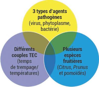 Le protocole mis en oeuvre en laboratoire et serre (2/2)