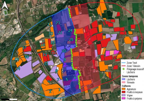 Figure 1 : Cartographie du site de l'opération pilote située dans le bassin de Vescovato en Corse
