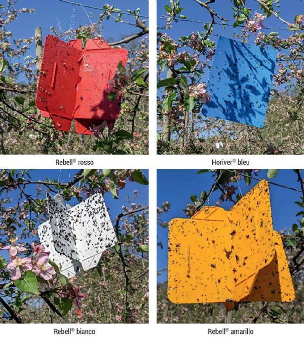 Figure 1 : Pièges évalués 