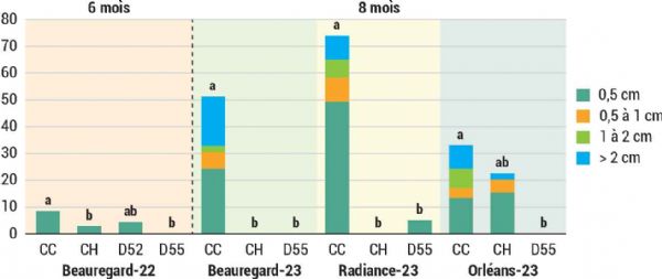 Figure 11 : Pourcentage de tubercules germés par classe de longueur des germes Figure 11 : Pourcentage de tubercules germés par classe de longueur des germes