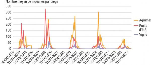 Figure 3 : Dynamiques spatiotemporelles de la cératite dans les différentes cultures hôtes du bassin de Vescovato en Corse