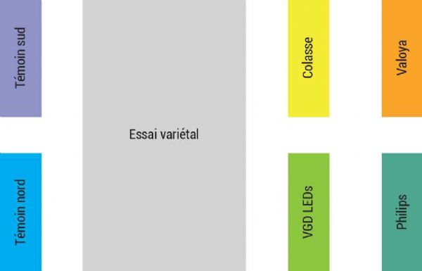 Figure 3 : Plan du dispositif expérimental des saisons 2023 et 2024 Figure 3 : Plan du dispositif expérimental des saisons 2023 et 2024