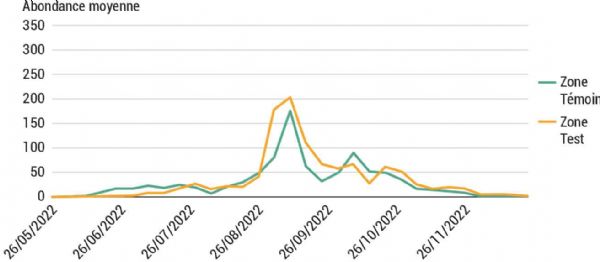 Figure 4 : Densité de recapture moyenne des cératites sauvages dans les parcelles en zone Test (bleu) et en zone Témoin (vert)