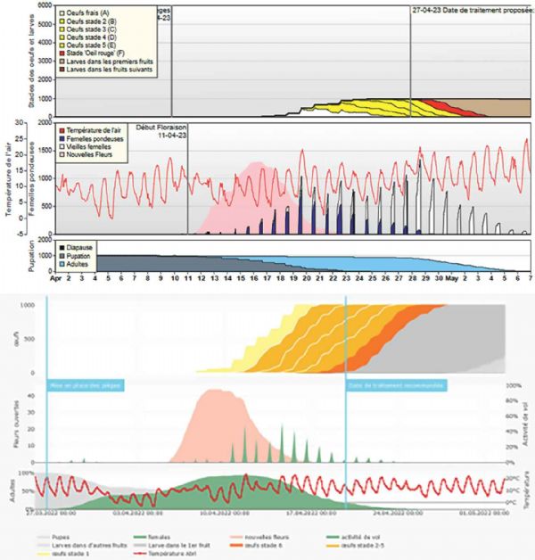 Figure 4 : Modélisation 2023 des modèles RIMpro (à gauche) et FruitWeb (à droite) du cycle de l'hoplocampe