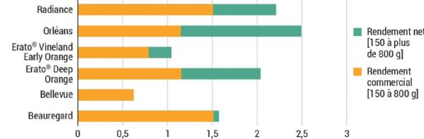 Figure 4 : Rendements moyens en kg/m² pour les variétés en intégrant ou non les calibres supérieurs à 800 g pour 2023 Figure 4 : Rendements moyens en kg/m² pour les variétés en intégrant ou non les calibres supérieurs à 800 g pour 2023