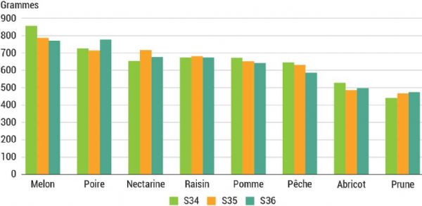 Figure 5 : Évolution du volume moyen d'achat par semaine, en grammes