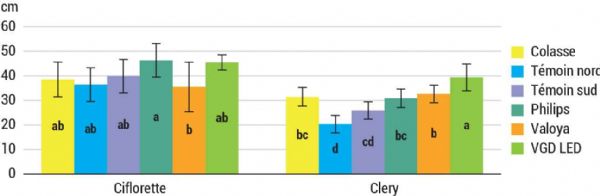 Figure 5 : Longueur de hampe moyenne (cm) à mi-récolte Figure 5 : Longueur de hampe moyenne (cm) à mi-récolte