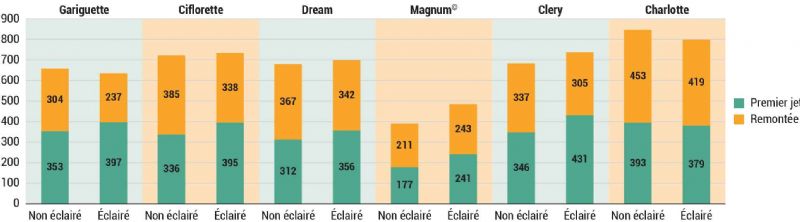 Figure 9 : Rendement moyen des différentes variétés évaluées depuis 2017 dans le témoin non éclairé et dans la modalité éclairée avec le dispositif Philips Green Power Figure 9 : Rendement moyen des différentes variétés évaluées depuis 2017 dans le témoin non éclairé et dans la modalité éclairée avec le dispositif Philips Green Power
