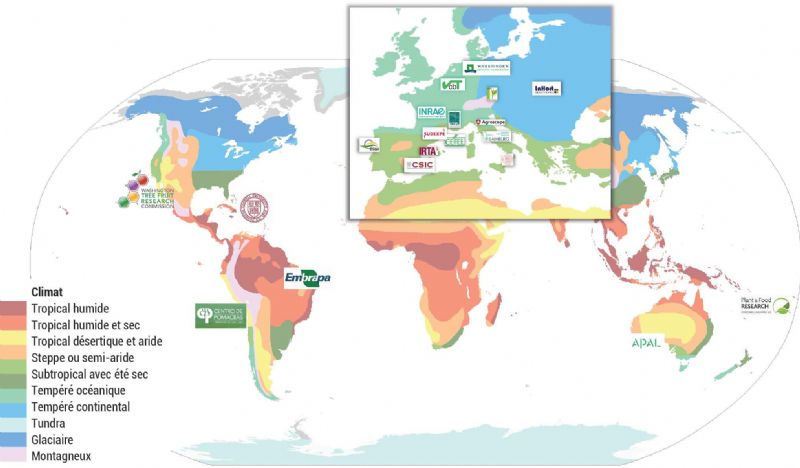 Figure A : Instituts de recherche situés dans les principaux pays producteurs de pommes engagé sur des recherches sur des projets en lien avec le changement climatique Figure A : Instituts de recherche situés dans les principaux pays producteurs de pommes engagé sur des recherches sur des projets en lien avec le changement climatique