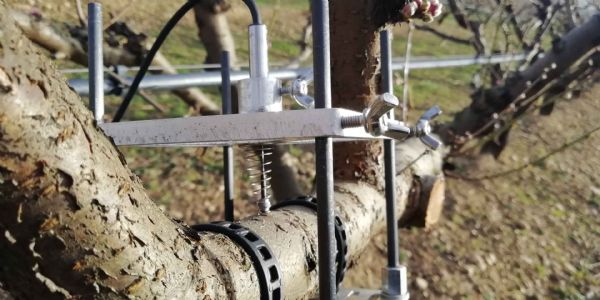 Figure 1 : ePepiPIAF, dendromètre de précision utilisé dans le projet DENVER Figure 1 : ePepiPIAF, dendromètre de précision utilisé dans le projet DENVER