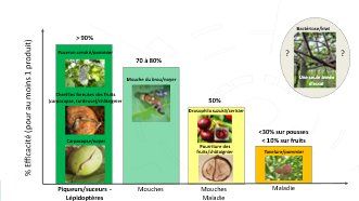 Figure 10 : Efficacités biologiques observées sur les modèles en cours d'étude micro- injection
