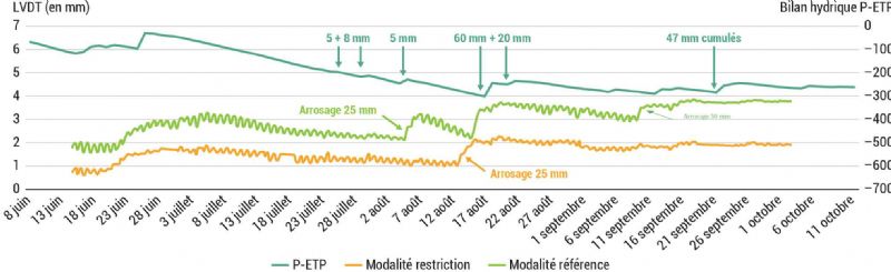 Figure 11 : Données dendrométriques sur châtaigniers en 2022 et bilan hydrique journalier Figure 11 : Données dendrométriques sur châtaigniers en 2022 et bilan hydrique journalier
