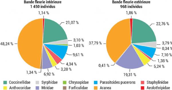 Figure 2 : Répartition par taxon des auxiliaires échantillonnés sur les bandes fleuries intérieure et extérieure, sur les 6 ans du projet soit 47 aspirations