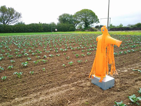 Figure 3 : Effaroucheur de type mannequin gonflable