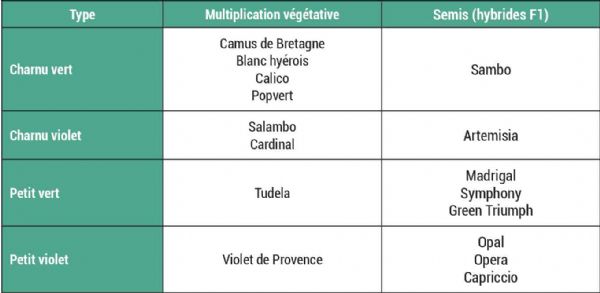 Figure 3 : Exemples de variétés à multiplication végétative et variétés de semis classées par types