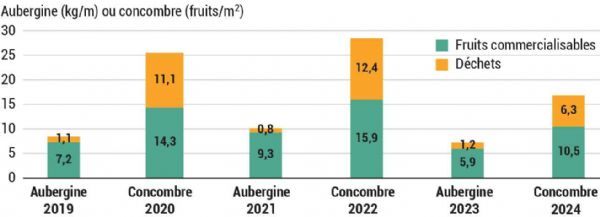 Figure 4 : Rendement commercialisable et déchets pour les cultures de concombre et d'aubergine