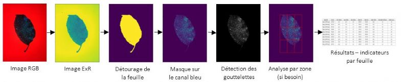 Figure 5 : Descriptif simplifié de l'algorithme de détection des gouttelettes