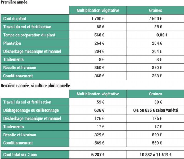 Figure 7 : Approche technico-économique (coûts à l'hectare) de l'artichaut de semis comparé à la multiplication végétative (exemple d'une culture sur 2 ans en Bretagne)