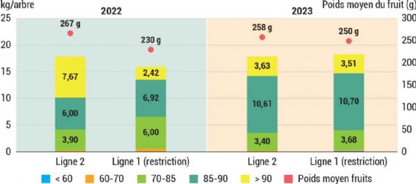 Figure 8 : Niveaux de rendement sur la parcelle d'essai Idared (pommier) à Poisy Figure 8 : Niveaux de rendement sur la parcelle d'essai Idared (pommier) à Poisy