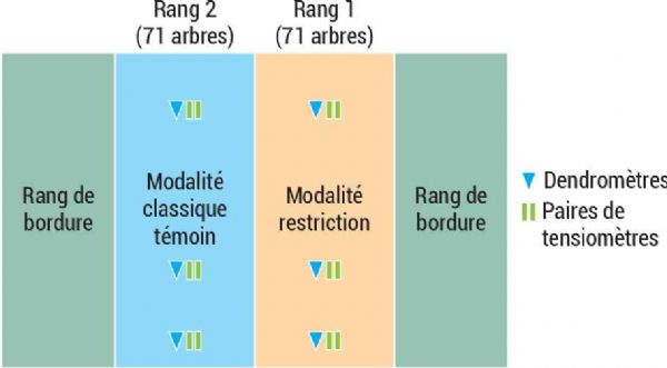 Figure B : Site du verger de Poisy, parcelle de pommiers Figure B : Site du verger de Poisy, parcelle de pommiers
