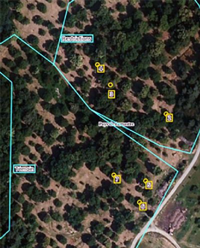 Figure D : Site de la chambre d'agriculture de l'Ardèche, parcelle de châtaigniers Figure D : Site de la chambre d'agriculture de l'Ardèche, parcelle de châtaigniers