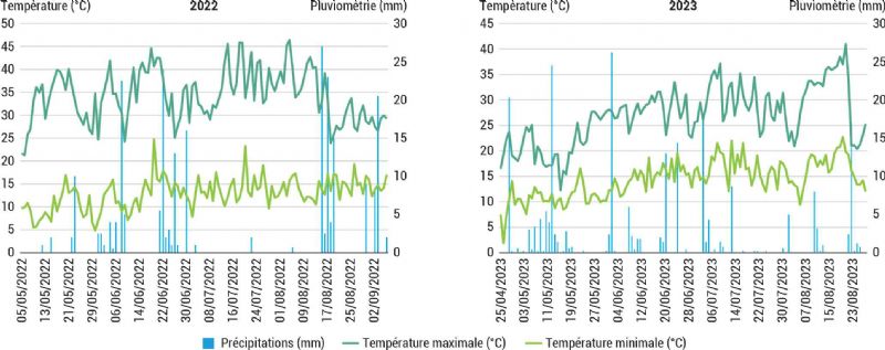 Figure 1 : Climat observé en 2022 et en 2023 lors des essais variétaux d'oignons jaunes et rouges Figure 1 : Climat observé en 2022 et en 2023 lors des essais variétaux d'oignons jaunes et rouges