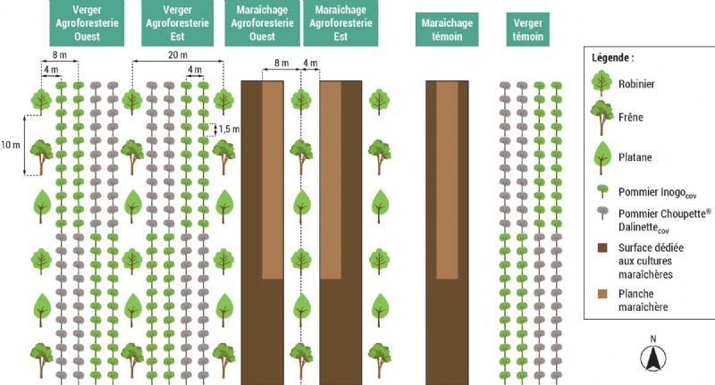 Figure 1 : Schéma du dispositif expérimental Figure 1 : Schéma du dispositif expérimental
