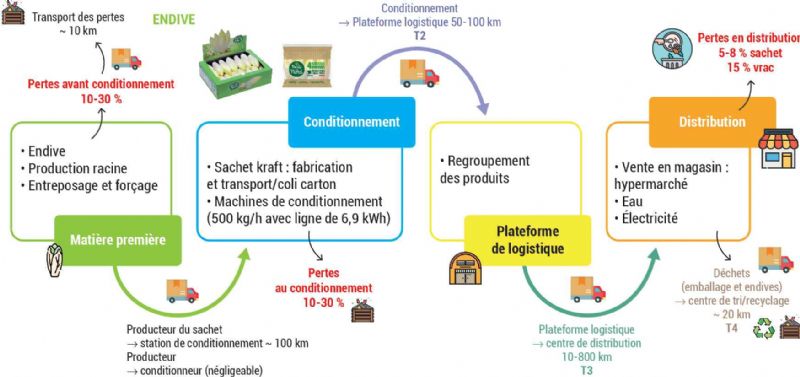Figure 10 : Schéma de comparaison de deux systèmes d'étude, les endives vendues en vrac et endives vendues en sachet Figure 10 : Schéma de comparaison de deux systèmes d'étude, les endives vendues en vrac et endives vendues en sachet