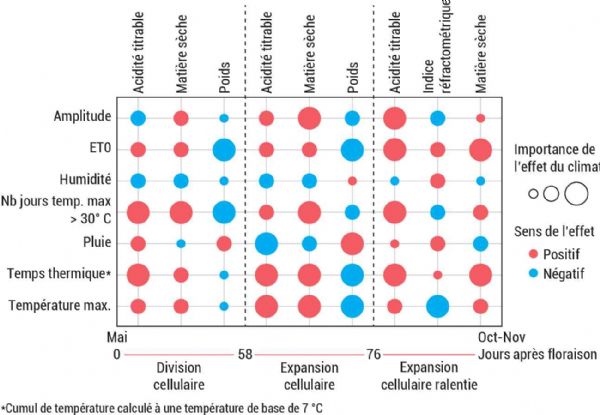 Figure 2 : Importance des conditions climatiques lors des trois stades de développement sur les critères de qualité à la récolte