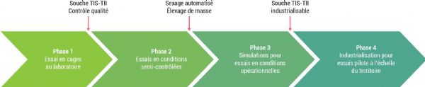 Figure 2 : Les trois phases clés du projet OPTMISTII, le projet va permettre la mise en place d'une quatrième phase d'industrialisation impliquant un essai TIS-TII pilote et à l'échelle d'un territoire Figure 2 : Les trois phases clés du projet OPTMISTII, le projet va permettre la mise en place d'une quatrième phase d'industrialisation impliquant un essai TIS-TII pilote et à l'échelle d'un territoire
