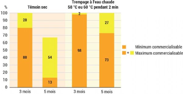 Figure 2 : Pourcentage de potimarrons maximum commercialisables après 3 et 5 mois de conservation, synthèse des 4 essais de trempage à l'échelle expérimentale