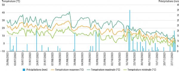 Figure 3 : Climat observé en 2023 au cours du cycle cultural du chou cabus Figure 3 : Climat observé en 2023 au cours du cycle cultural du chou cabus