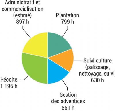 Figure 3 : Répartition du temps de travail en heures par opération culturale sur l'année 2023 à l'échelle de 7 000 m²
