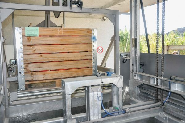 Figure 3 : Traitement des palox de potimarrons à 58 °C ou 60 °C avec la machine de trempage XEDA