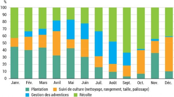 Figure 4 : Temps et positionnement des opérations culturales au cours d'une année